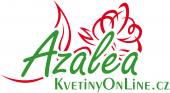 Azalea - kvetinyonline.cz